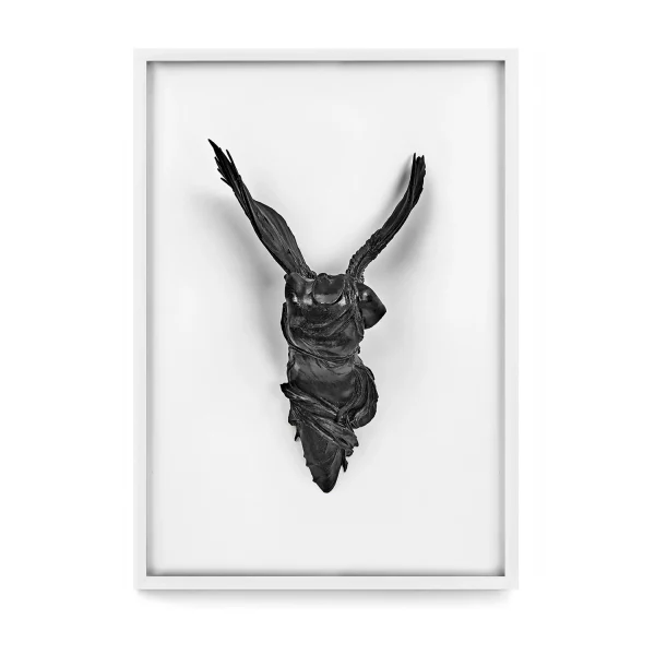 Nike Noire - White Frame Edition